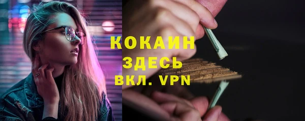 PSILOCYBIN Карталы