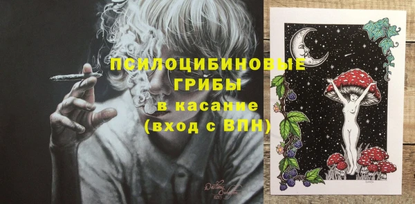 амф Карпинск