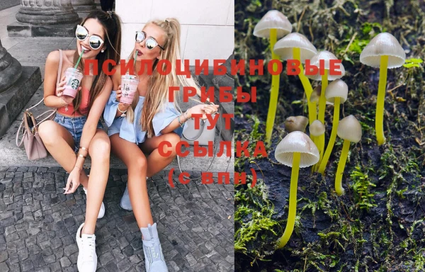 PSILOCYBIN Карталы